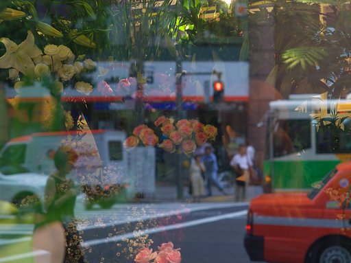 大都会の花屋さん