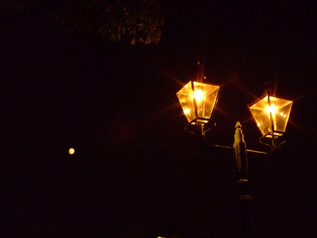 祭りの後の…