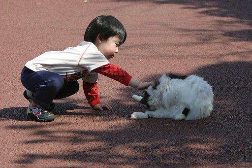 怖い物知らず