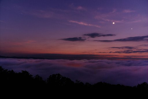 夜明け前の霧