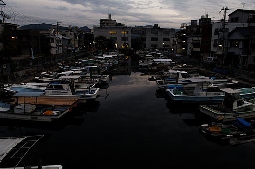 船泊 （新川運河）