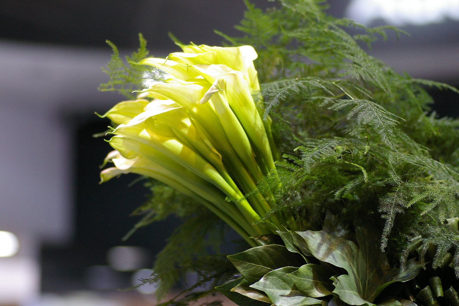 メッセの花