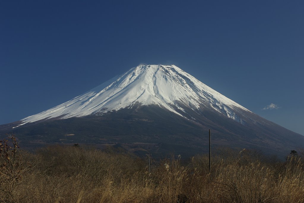 季節外れの投稿ですが