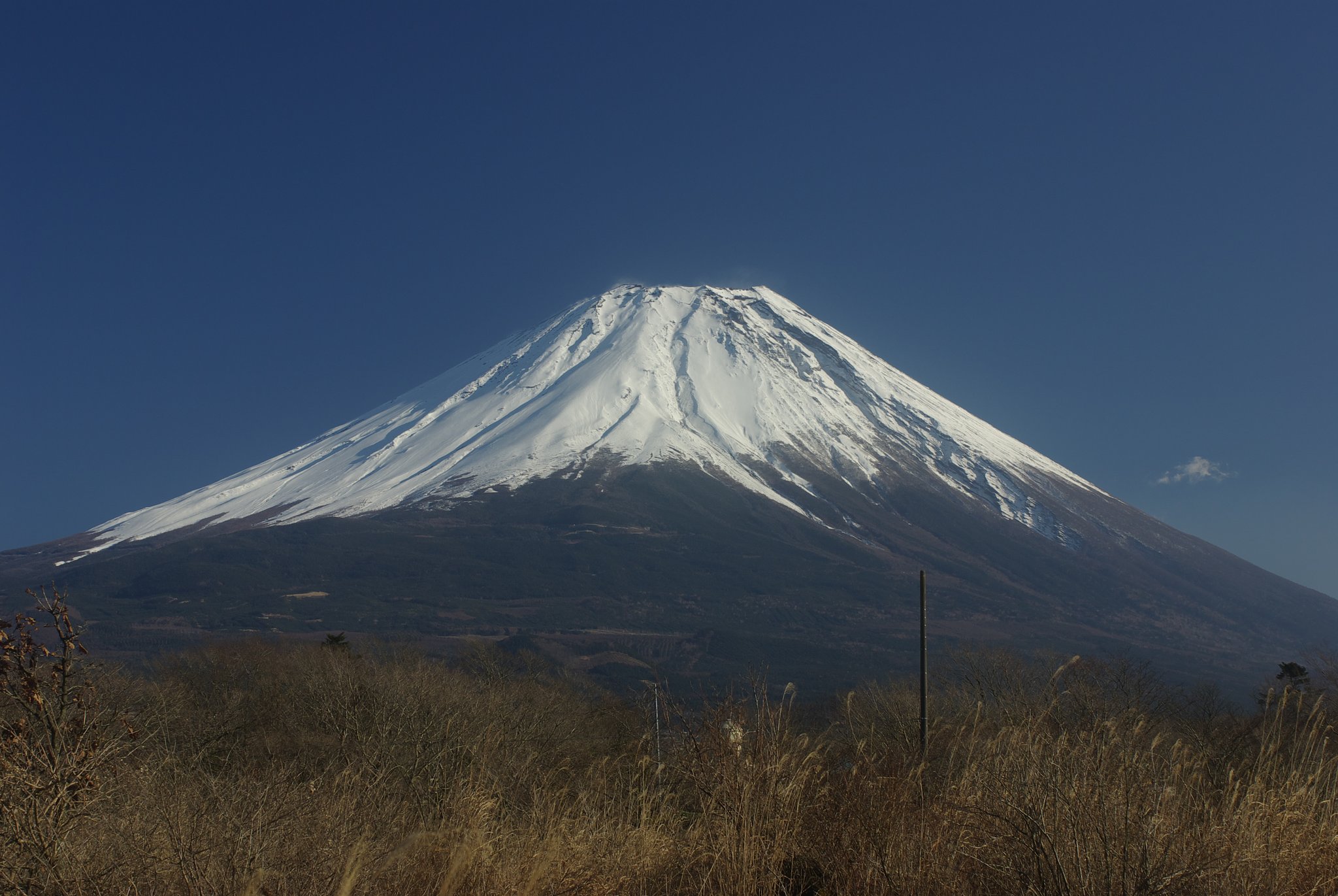 季節外れの投稿ですが