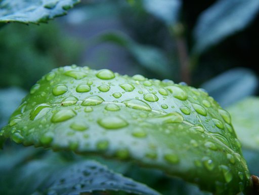 雨上がり