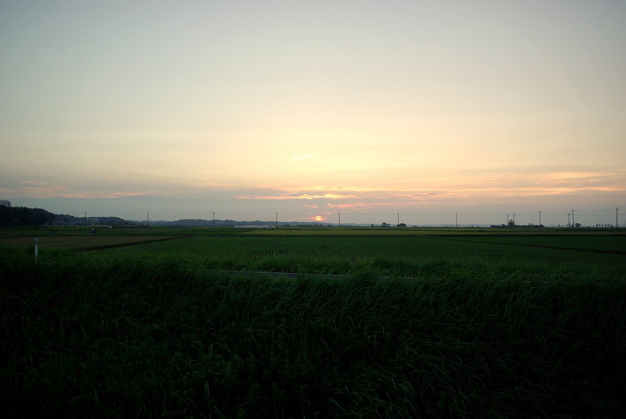 夕陽が・・・