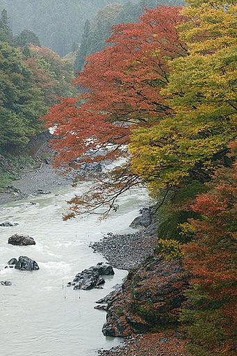 御岳１（黒澤）