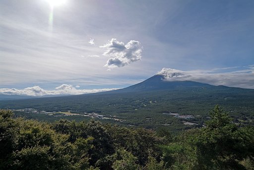 紅葉台から冨士を望む