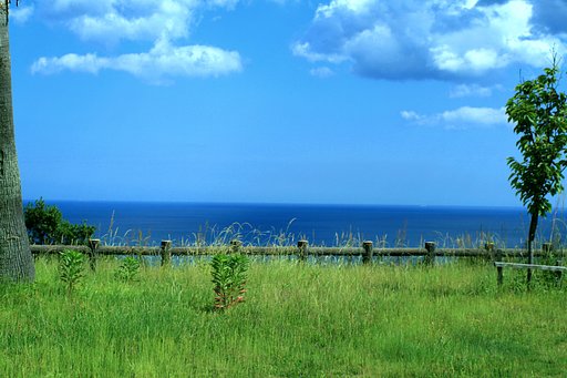 海岸線