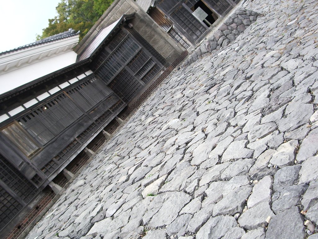 この石段を・・・