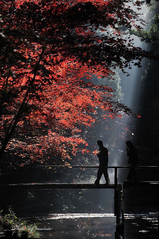 光・・・