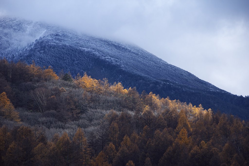 冠雪の蓼科山