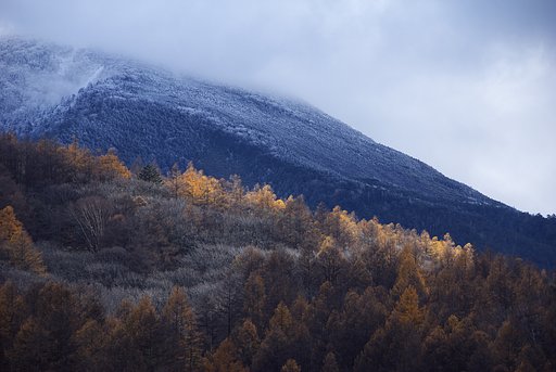 冠雪の蓼科山