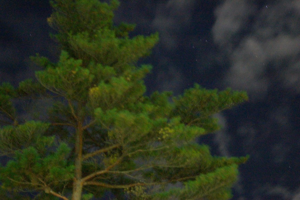 闇夜と強風のコラボレーション