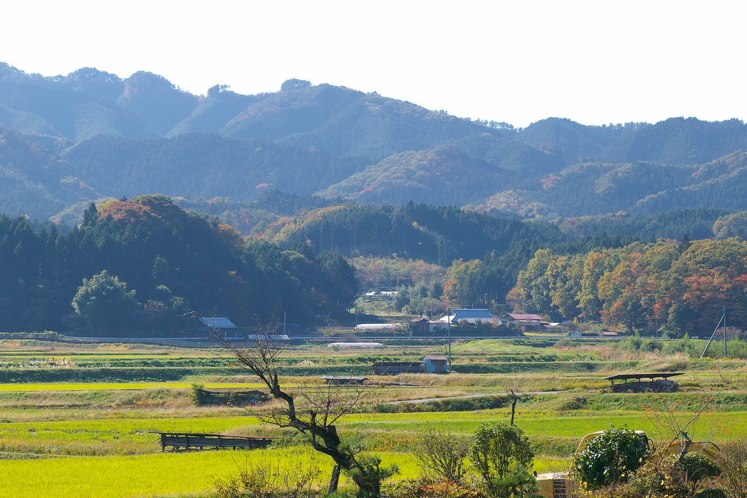 昔はこういう写真も好きで