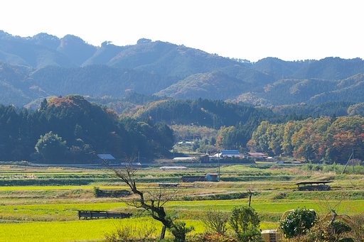 昔はこういう写真も好きで
