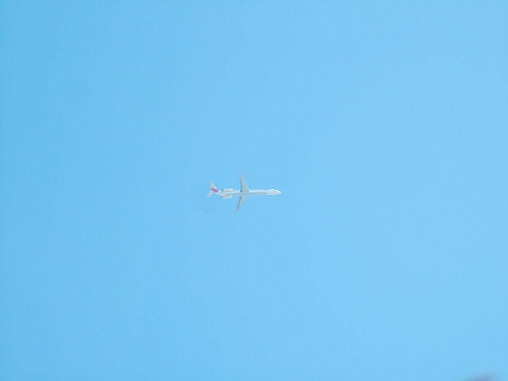 飛行機