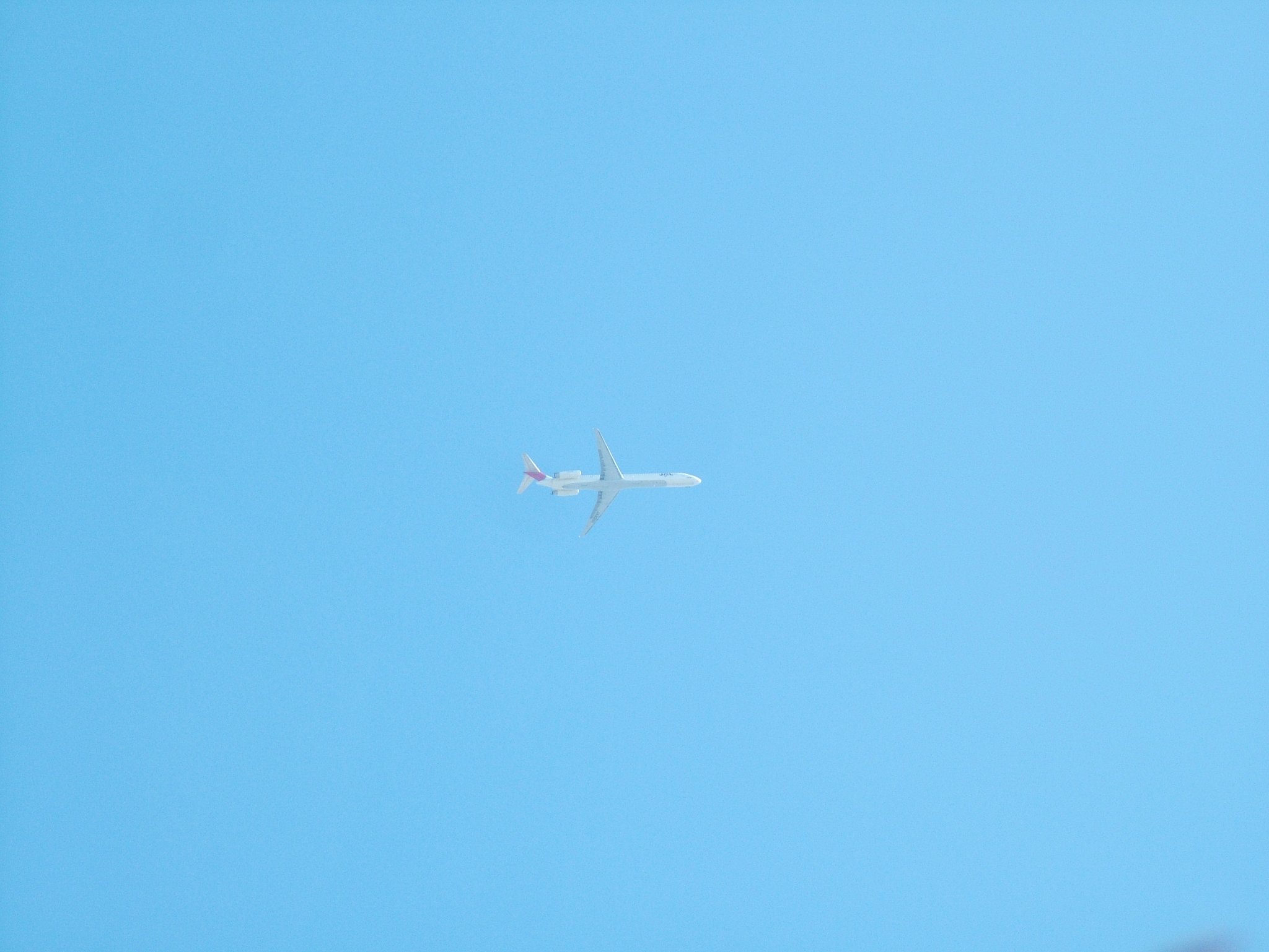 飛行機