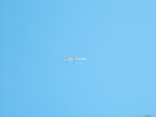 飛行機
