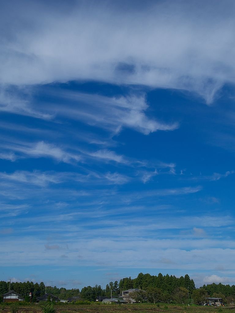 久しぶりの青空^^;