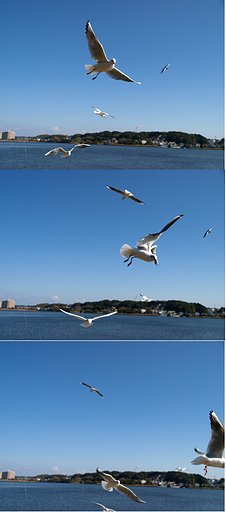 【締】Ｃ−ＡＦ