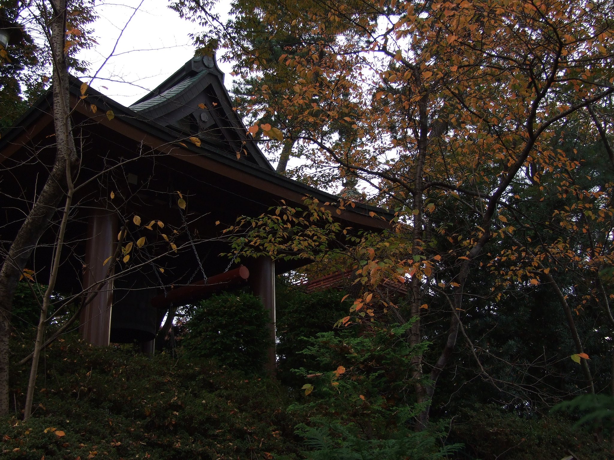 釣鐘と紅葉？