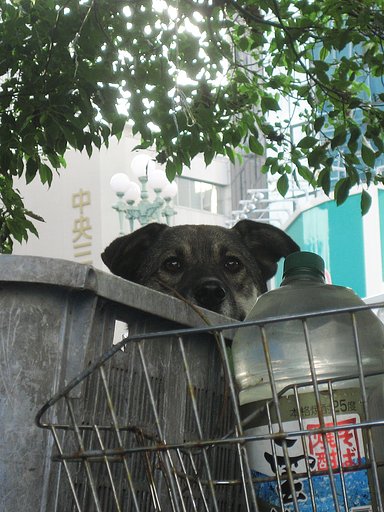 待ってるんだけど‥