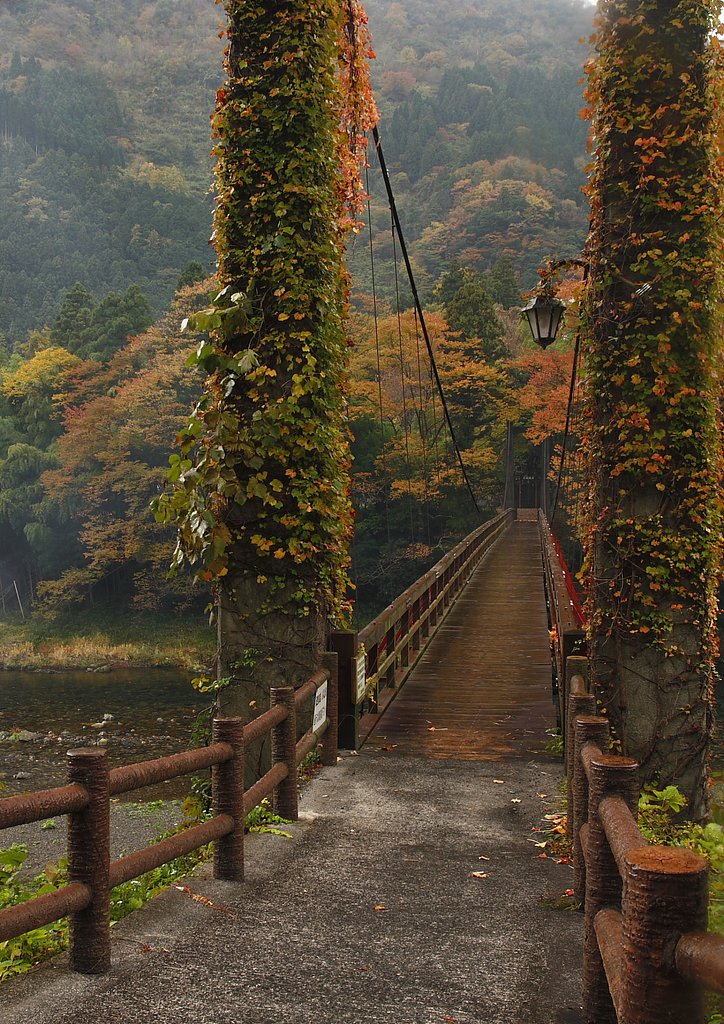 恋のつり橋