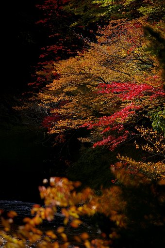 薬研渓流