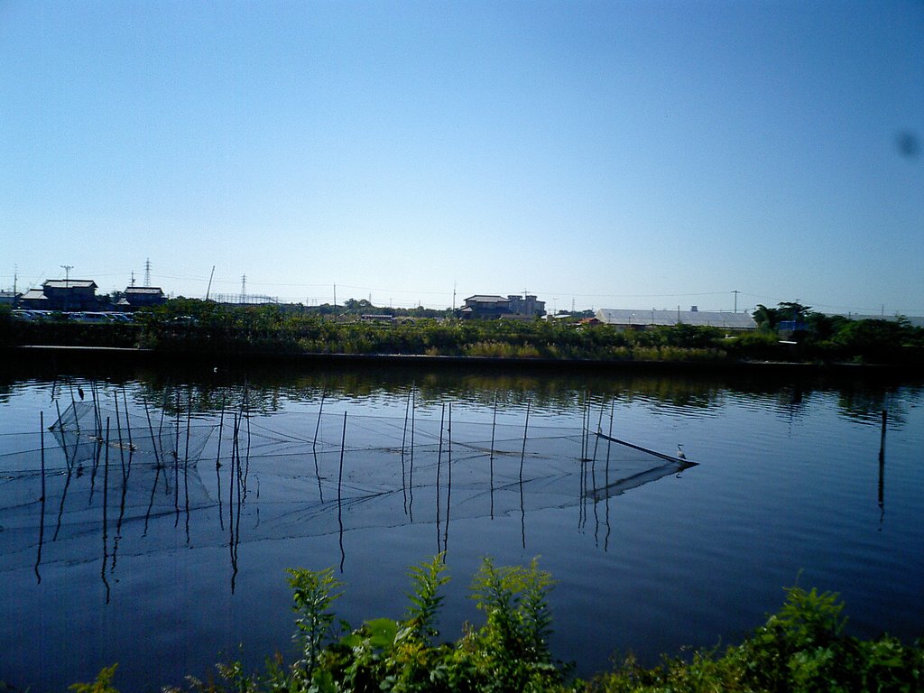 鳥が増えてきた
