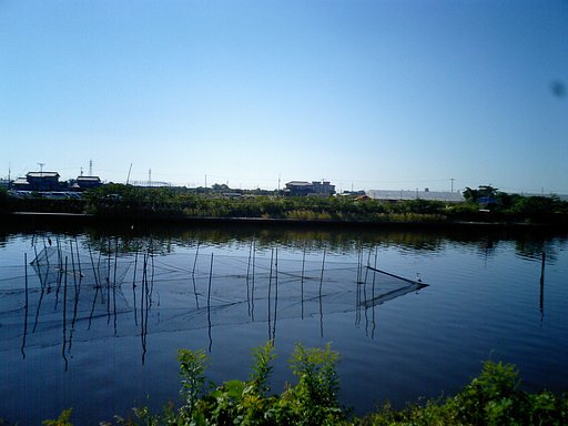 鳥が増えてきた
