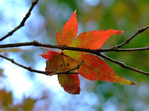 囁くように