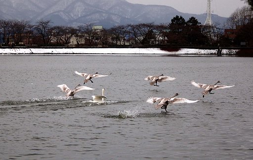 ファミリーの練習