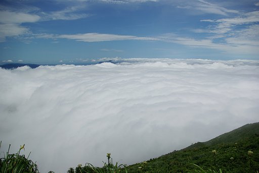 雲海