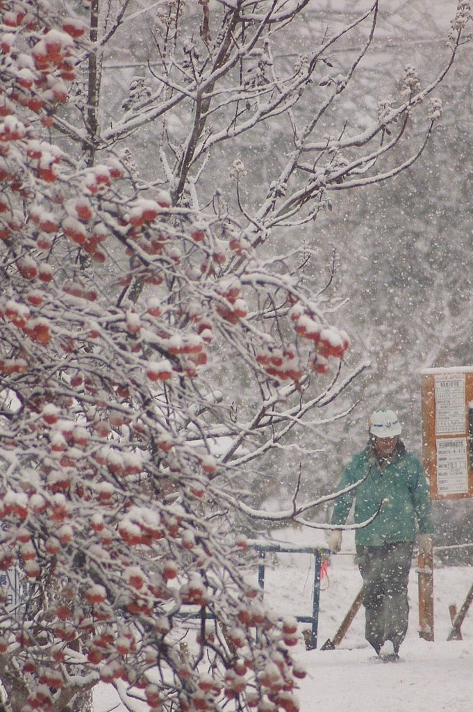 雪にもめげず