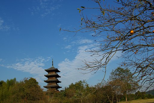 京都じゃありません