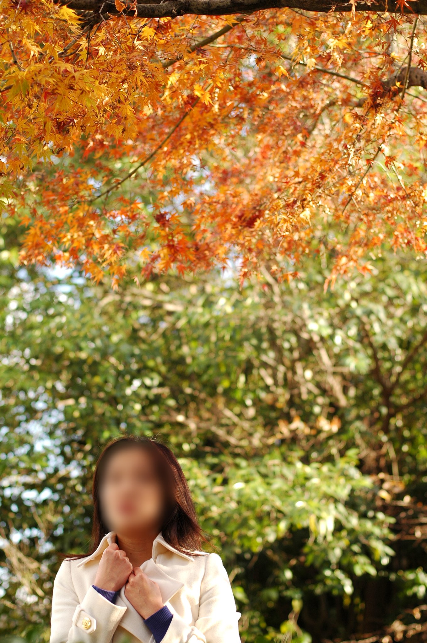 名残惜しむ秋