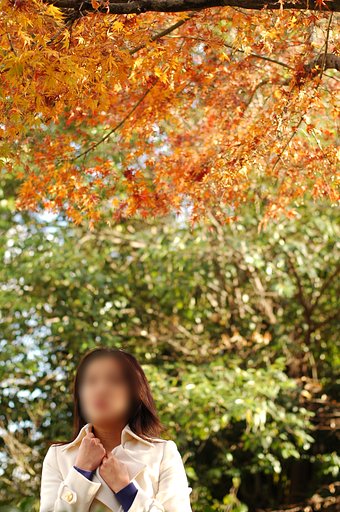 名残惜しむ秋