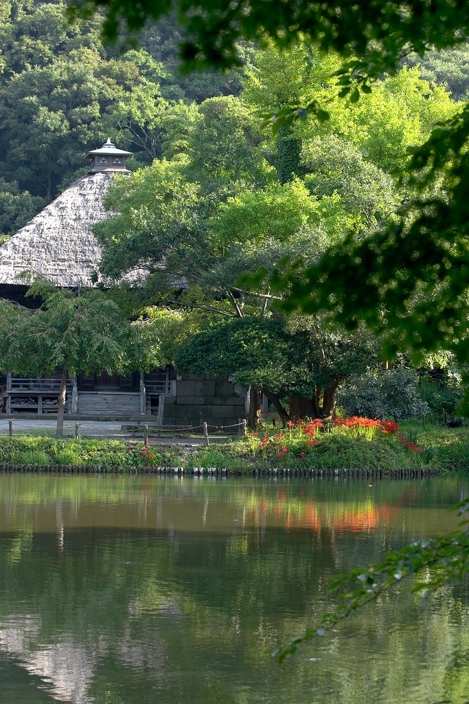 称名寺の彼岸花