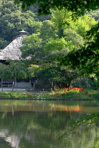 称名寺の彼岸花