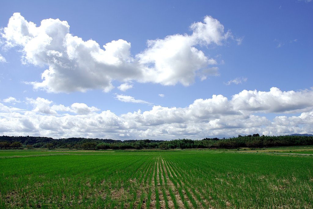 秋空