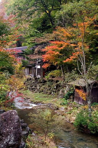 紅葉の法師にて　＃２