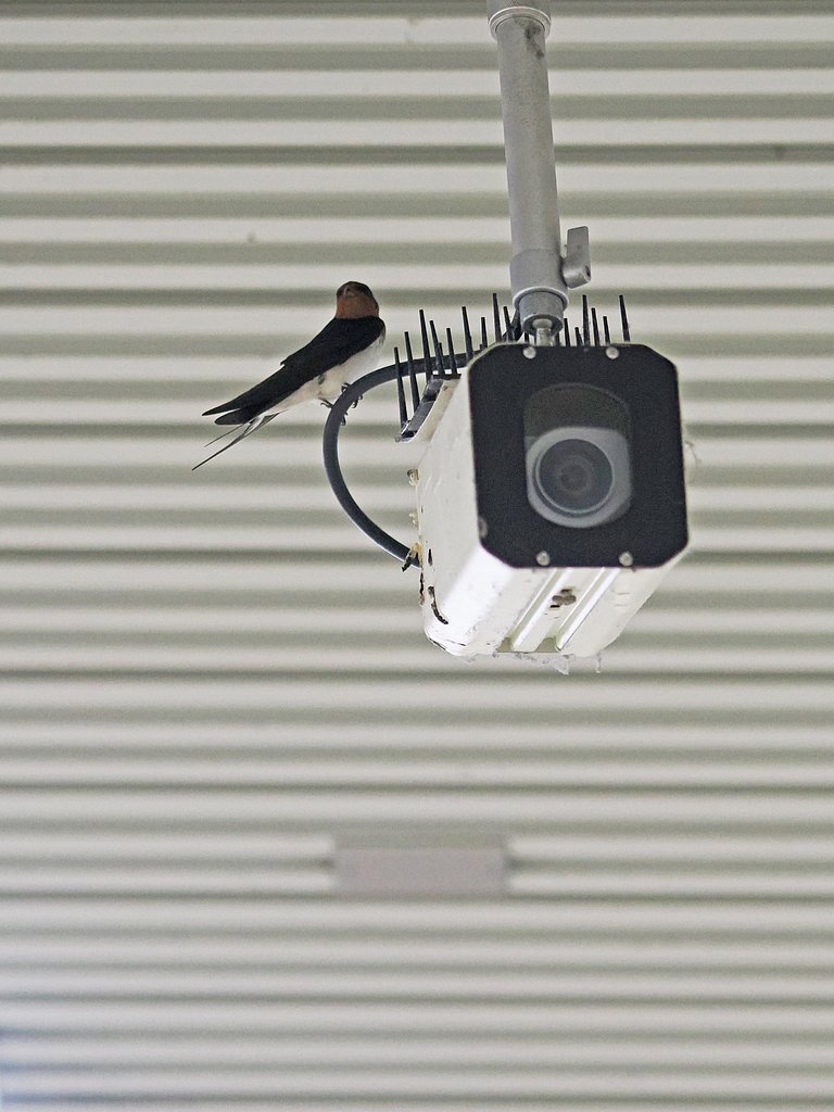 新機能が付きました。