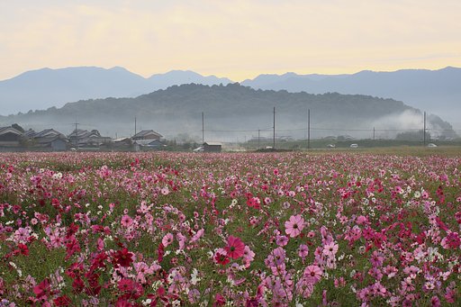 香具山