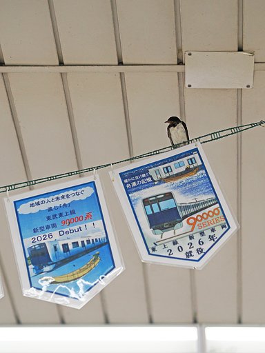 新人の◯◯がお伝えします。