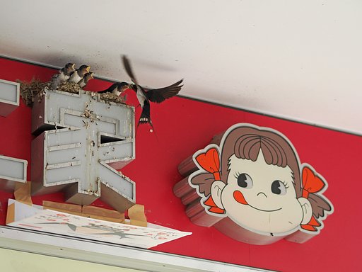 シュプレヒコール「ズルは駄目だよ！」