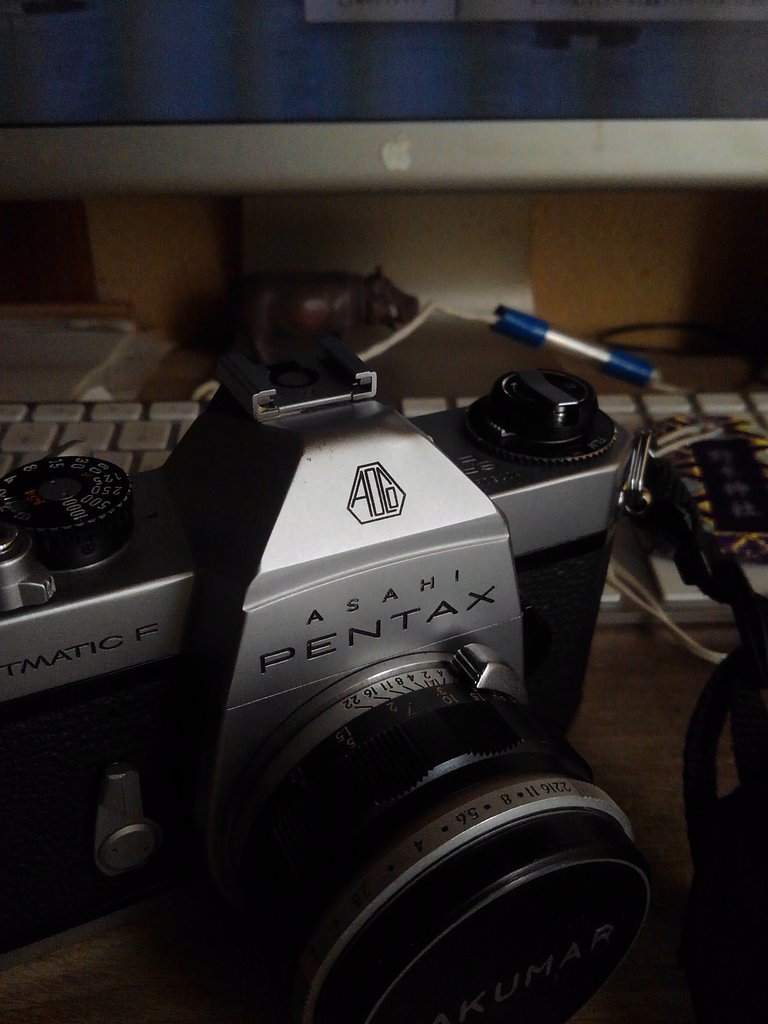 フィルムカメラ