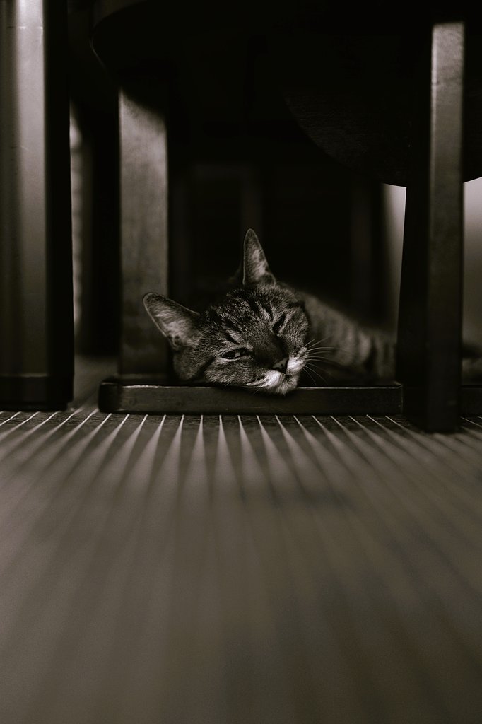 LeicaMonochrome