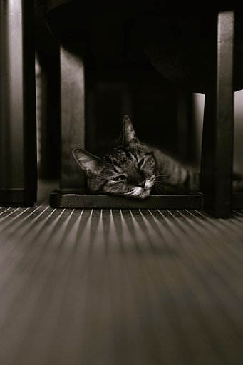 LeicaMonochrome