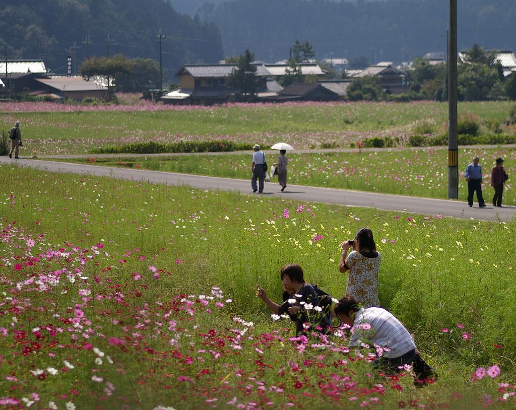 どの花が良いのかな？